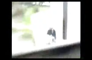 XXX Satu cerita x sedarah orang mengambil dua biseksual