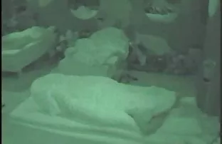 XXX Babak eksotis diberikan kepada dua mama sedarah teman