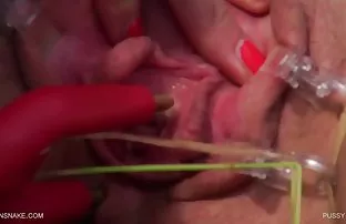 XXX Kelinci Ashley Lawrence, yang ingin gairah sedarah bercinta