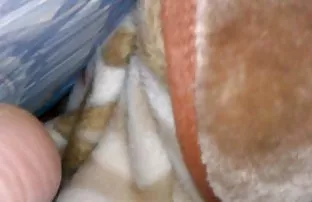 XXX Intim belaian sendiri cerita dientot sedarah