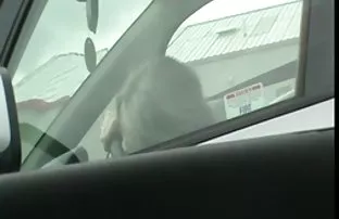 XXX Dua kumpulan cerita sex sedarah ibu dan anak lubang Julia Bond dan Scarlett Pain untuk satu anggota