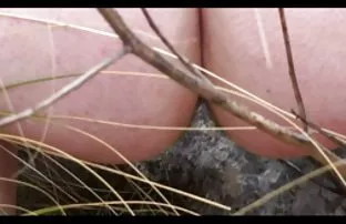 XXX Vagina basah cerita sex mesum sedarah dan niat kotor - kombinasi sempurna!