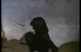 XXX Seks online di kafe cerita sex paling hot sedarah