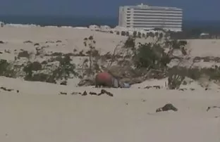 XXX Pantat sehat untuk anggota seorang ceritasexsedarah Negro