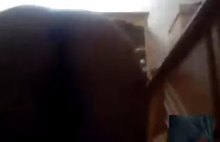 XXX Tarian erotis cerita mesum sedarah hot dari cuties santai