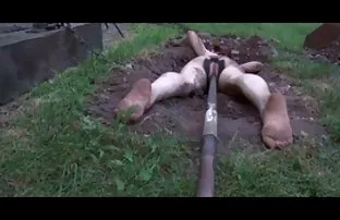 XXX Daddy fucked girl son cerita seks sedarah hot